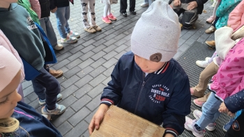 IMG_20261012_100524131_HDR