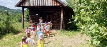 IMG_20250625_103300_355@329426439_125840