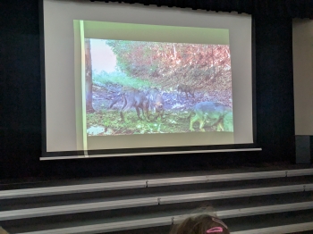 PXL_20251028_092700512