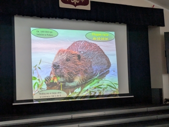 PXL_20251028_094045919