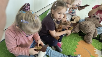 IMG_20251125_104637464