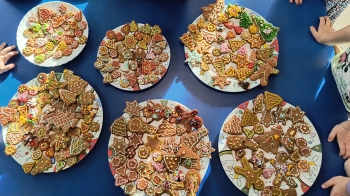 IMG_20251216_113626366_HDR