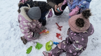 IMG_20260218_103606123