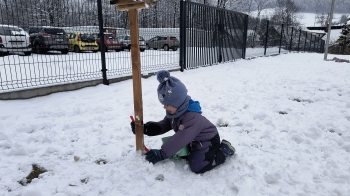 IMG_20260218_105852871