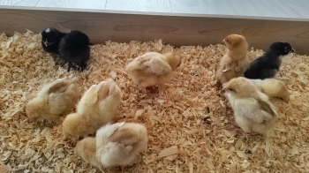 IMG_20260316_094424820