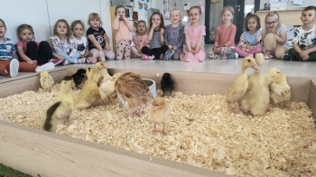 IMG_20260316_095002526