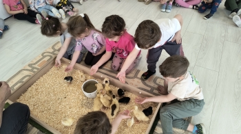 IMG_20260316_095623321