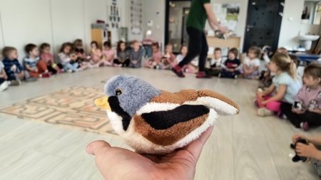 WYJĄTKOWE SPOTKANIE Z PRZYRODĄ - WARSZTATY ,,OWADY I SPÓŁKA''